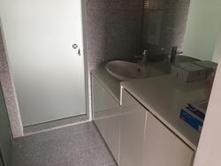 The Hillier (D23), Apartment #138340432